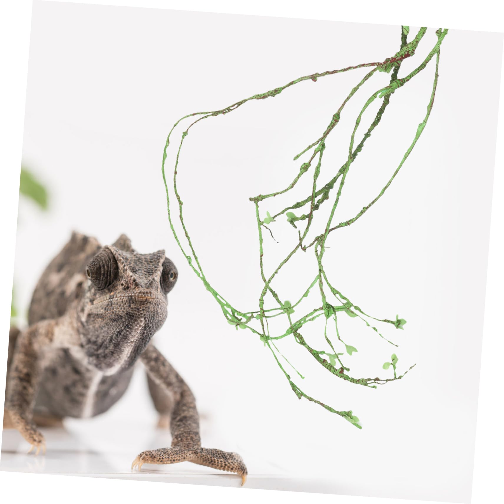 HEMOTON Künstliche Ranke für Reptilien-terrarien Geeignet als Dekoration für Aquarien und Reptilienhabitate Natürliche Optik und Flexible Gestaltungsmöglichkeiten