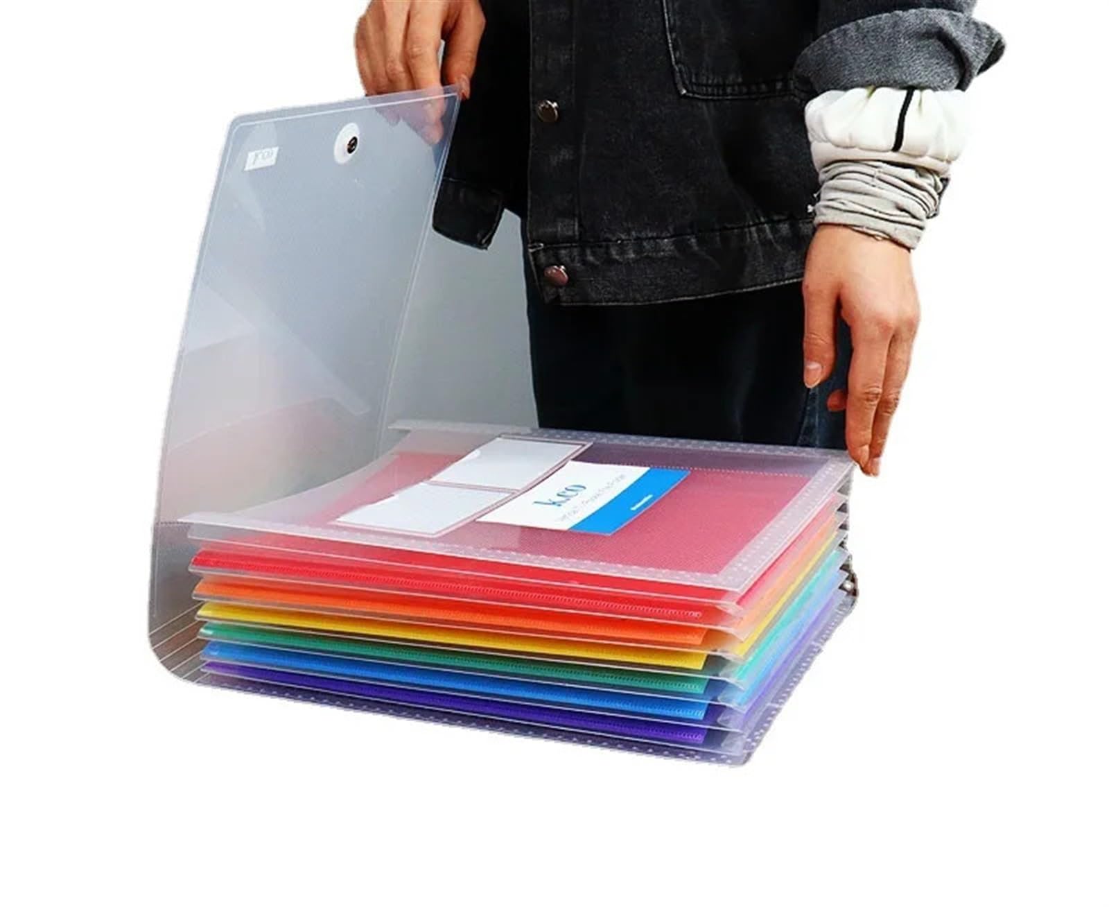 Portadocumenti a fisarmonica in plastica, Organizer multitasche for fisarmonica in plastica A4 trasparente 31,5x25,8 cm