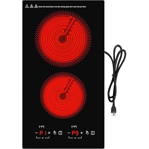 Electric Cooktop 2 Burners 2100W, 110v-120v Electric Stove Top 12 inch, Countertop & Built-in Cooktop, 20 Temperature 9 Power Levels, Child Lock, Timer, Over-Heat Protection