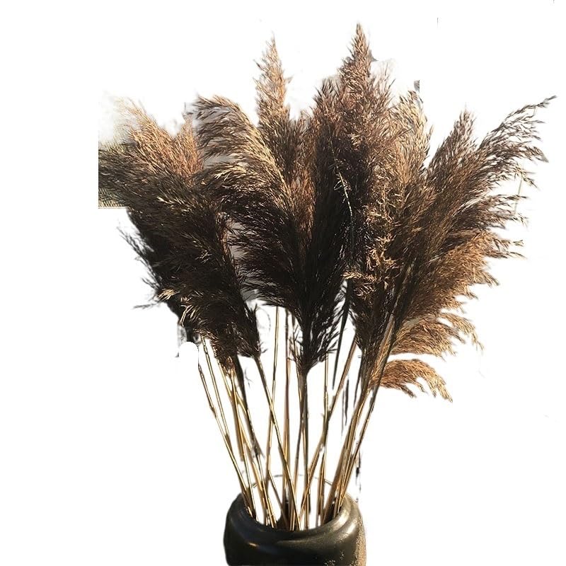 Pampas Grass Artificial Grande 1pc 120cm miniatura 5