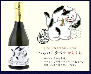 Amazon.co.jp: 【金箔入り】京都 キンシ正宗 飲み比べ セット