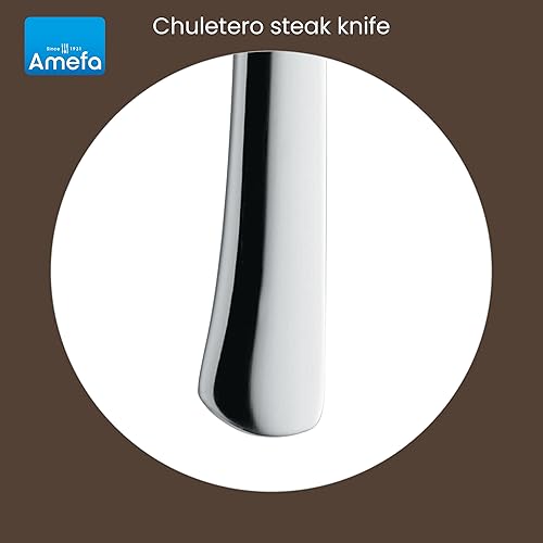 Miniatura 7 de Amefa Bongo - Juego de 6 cuchillos para carne, acero inoxidable endurecido de alta calidad, diseño de mango ergonómico martillado, borde micro