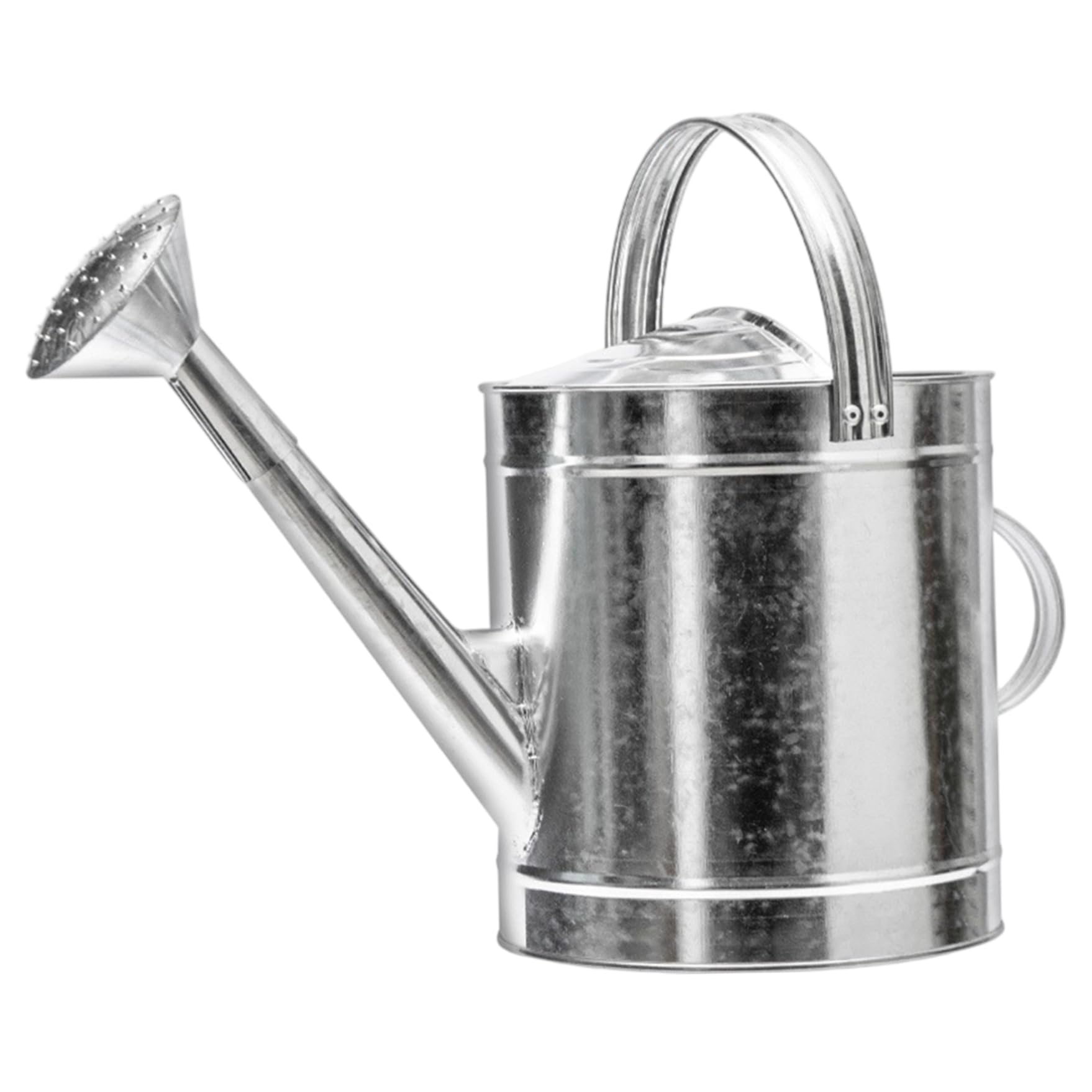 Arrosoir en acier inoxydable de 7 L avec long bec et poignée pour le jardinage