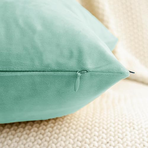 Miniatura 3 de HWY 50 fundas de almohada decorativas de terciopelo sólido para sofá, sala de estar., Terciopelo, Agua (Aqua), 20x20 pulgadas