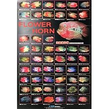 AZOO AZ90142 Flower Horn Decor Poster