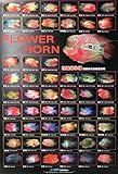 AZOO AZ90142 Flower Horn Décor Poster