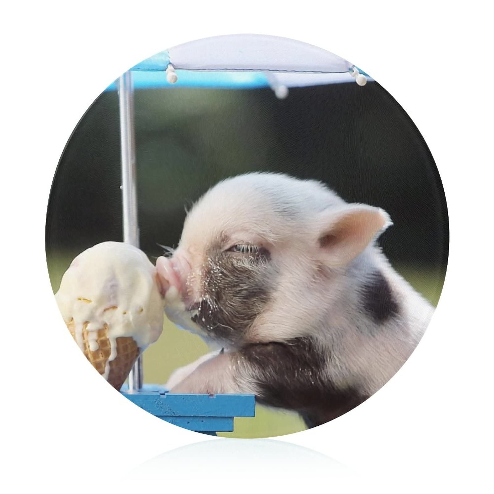 Plaques de cuisine en verre trempé Cochon de Glace 20 cm hygiéniques