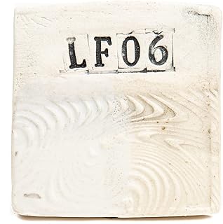 Pottery Clay - 25 lb Low Fire Cone 06 - White Standard: No Additions