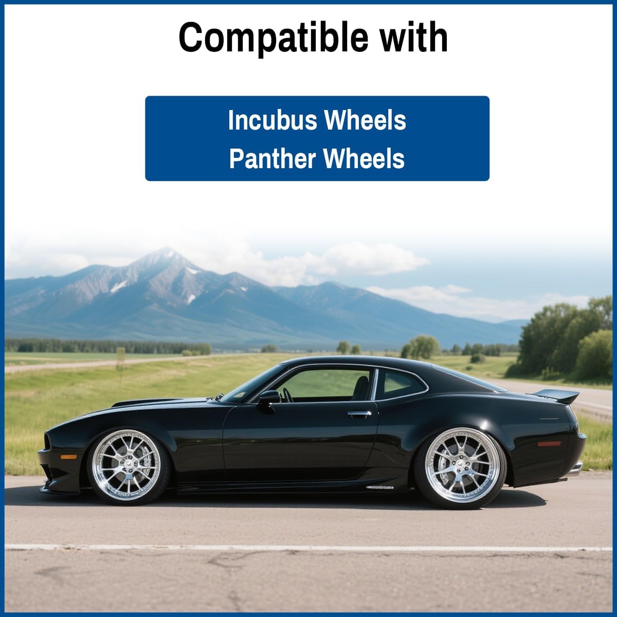 Wheel Center Cap for Incubus Panther Wheels Rim Hubcap Replacement Covers PCW-M2 DV-M2 LG0604-15 S305-19 DV011 60582090F-4 60602090F-2, 4PCS, Chrome