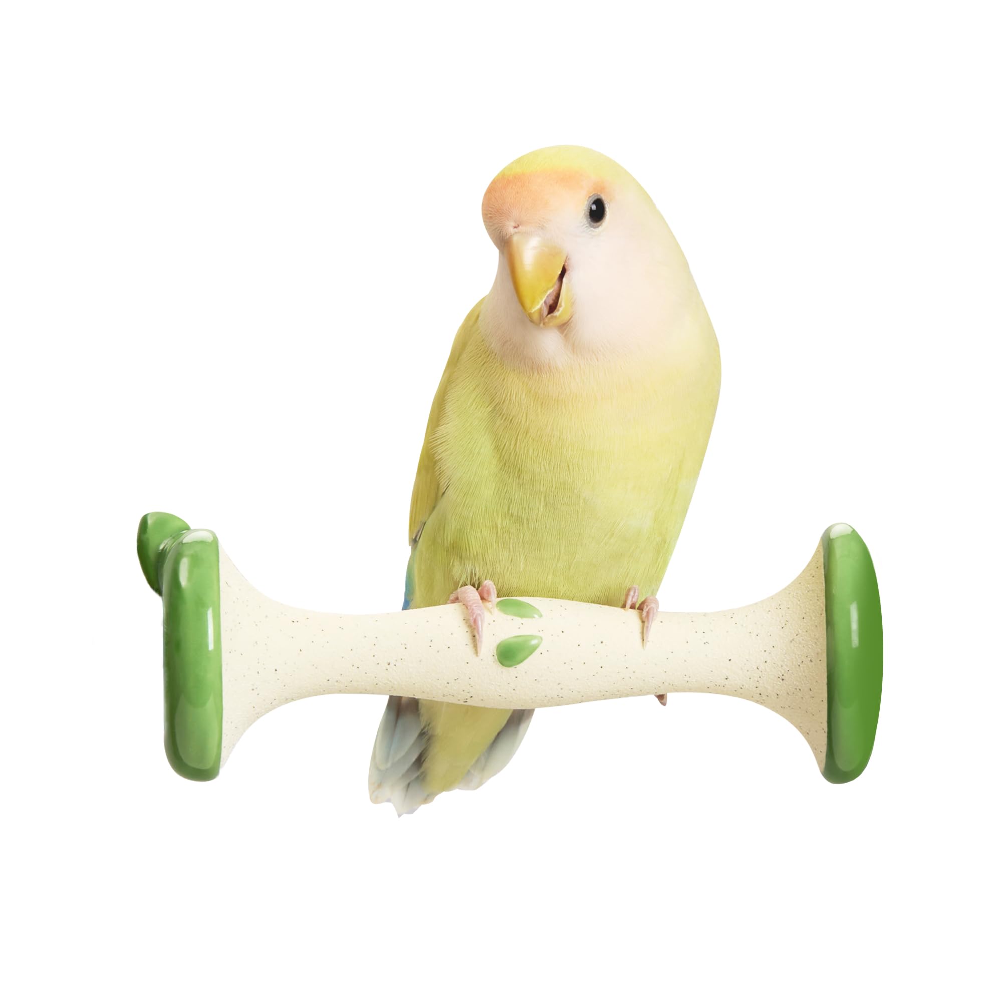 Amazon | Tafit インコ くちばし研ぎ 止まり木 陶器製 リンゴ型 爪とぎ