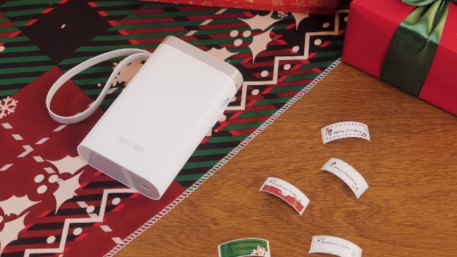 Amazon.com: Nelko Label Maker Machine with Tape, P21 Bluetooth