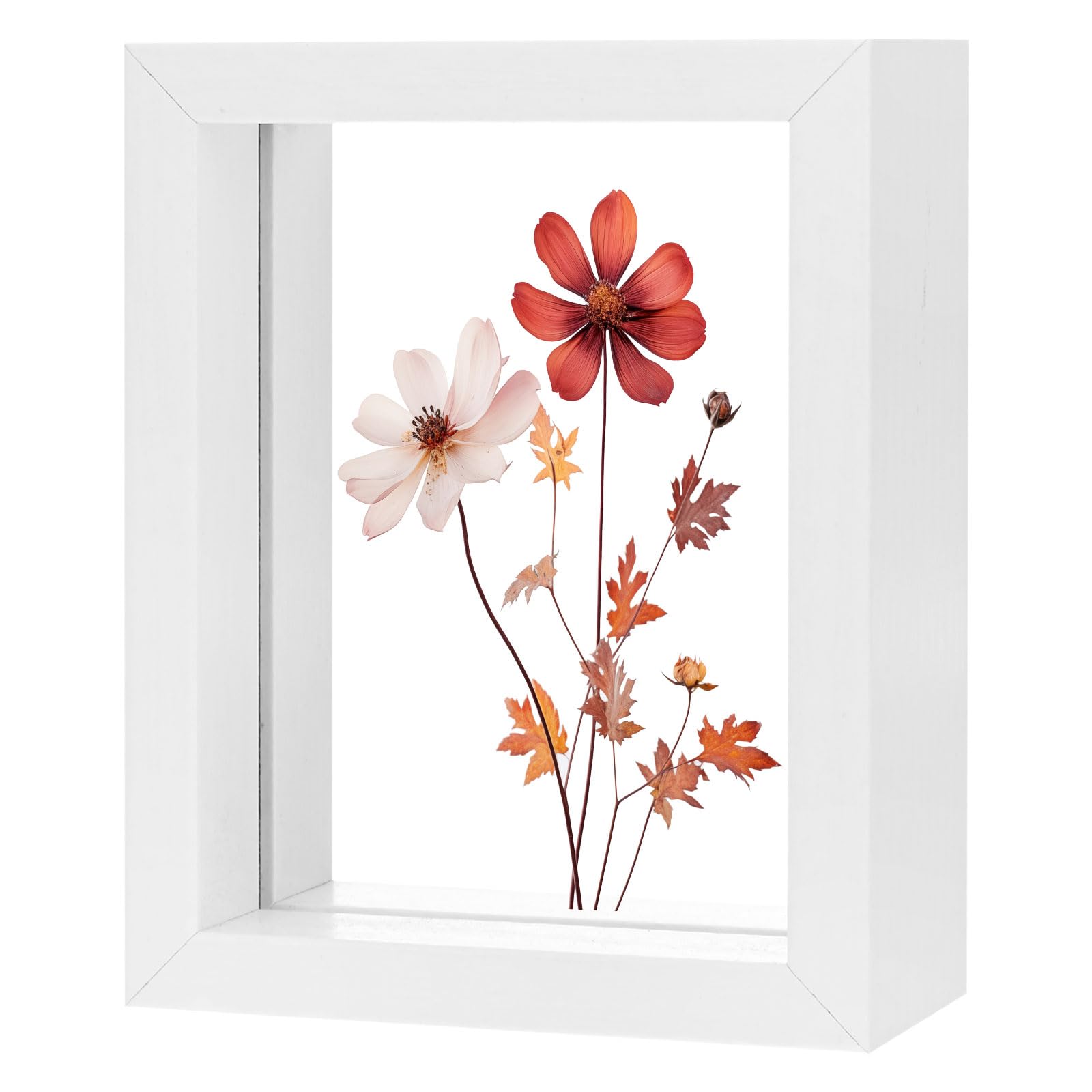 M METERXITY Pressed Flower Frame 3 x 4 Inch Double FloatInchg, White