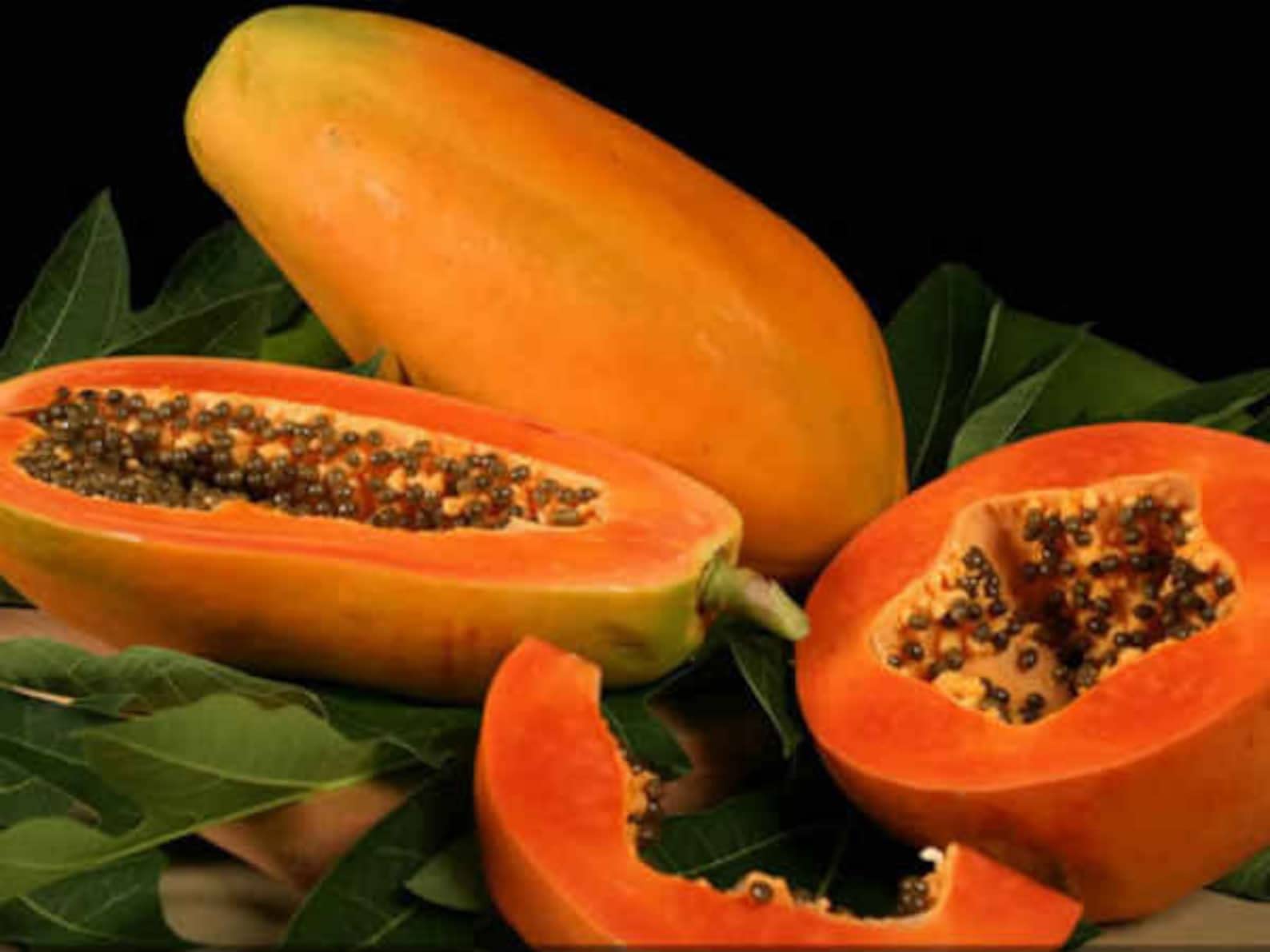 M-Tech Gardens Rare Hybrid Papaya " Taiwan Red Lady " Exotic 15 Fruit Seeds for Growing (B0BNPSNFD9) Amazon Price History, Amazon Price Tracker
