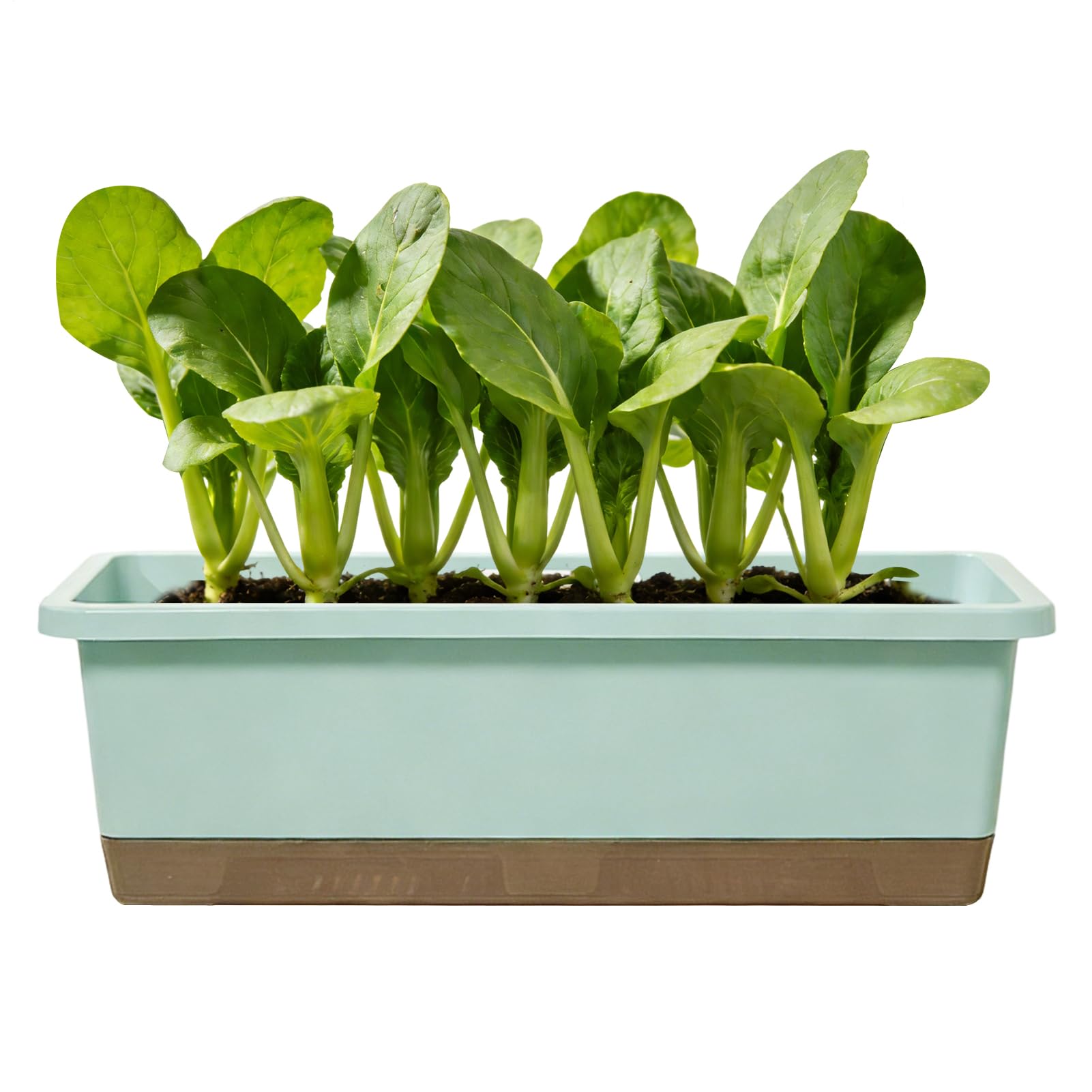 Pot de fleurs rectangulaire contre les plantes desséchées avec réserve d'eau intégrée