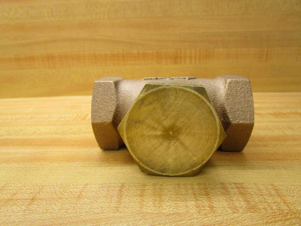 New In Line Check valve for air compressor 1" FPT x 1" FPT