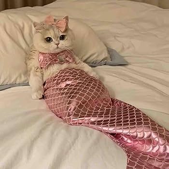 Amazon.com : Creative Cat Mermaid Costume - Mermaid Tail & Bra, Suitable  for Cats 4.4 lbs to 11 lbs (Blue) : Pet Supplies