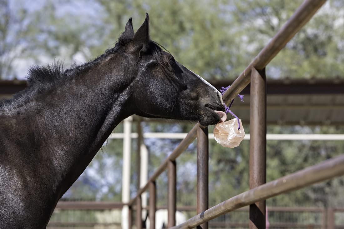 Compressed Himalayan Animal Horse Lick 2.5 KG - Image 4
