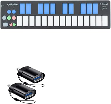 BoxWave Cable Compatible with Keith McMillen Instruments K-Board - USB-C to A PortChanger 2-Pack, USB Type-C OTG USB Portable Keychain - Slate Black