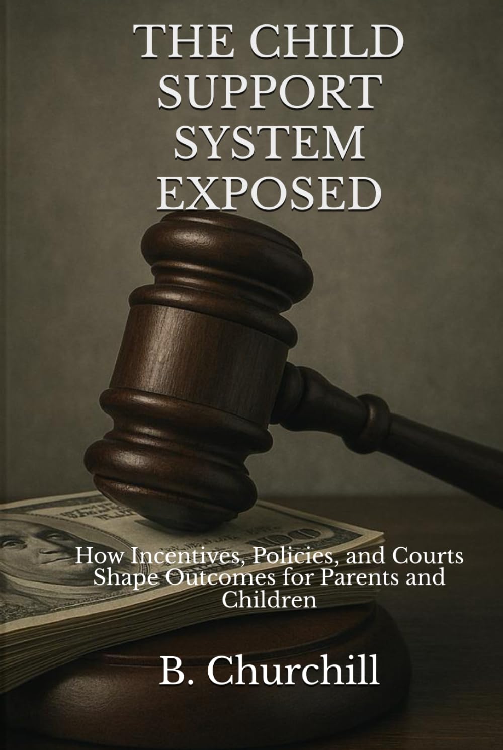 THE CHILD SUPPORT SYSTEM EXPOSED: How Incentives, Policies, and Courts Shape Outcomes for Parents and Children (Rabbit Holes & Remedies)