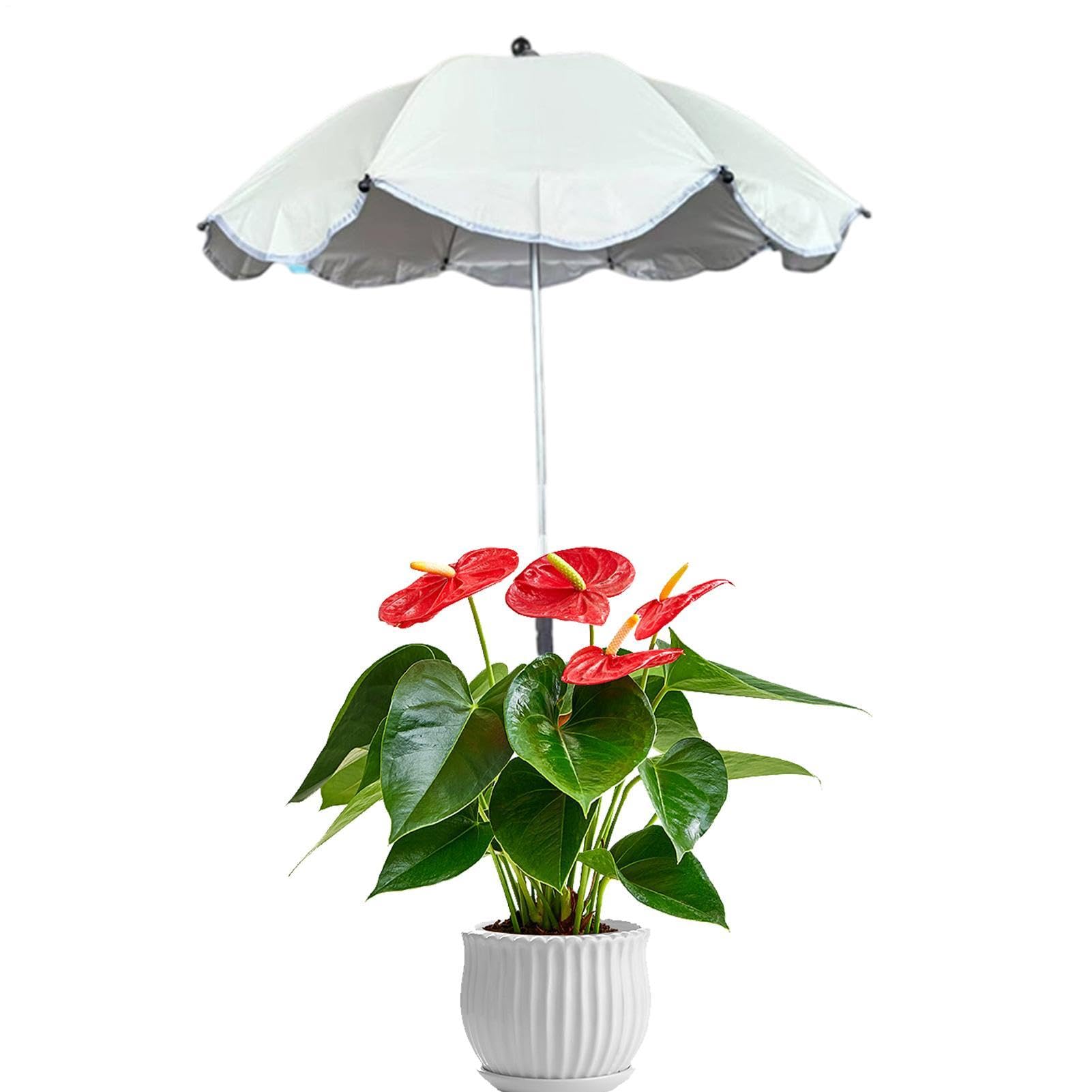 Sombrilla para plantas en patio, balcón y césped con altura personalizable 8