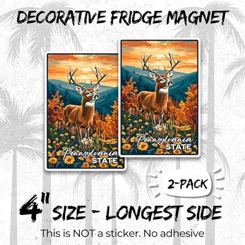 Imanes decorativos de vinilo pack 2 USA 4 pulgadas miniatura 2