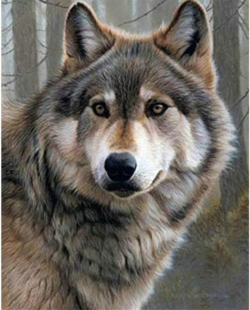 LVIITIS(wolf) - DIY 5D Diamond Painting Kits for Adults Full Drill, Paintings Pictures Arts Craft for Home Wall Decor,5D Painting Diamonds Kit Wolf(30cm x 40cm ) (Wolf)