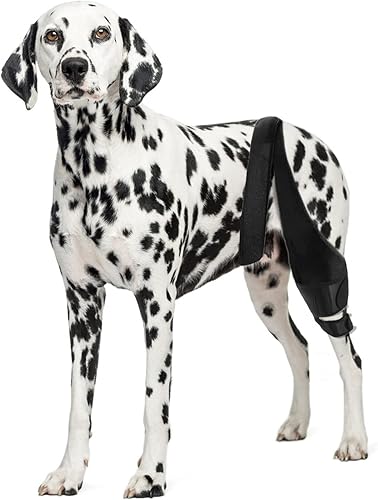 Rodillera para perro para soporte de lesiones de ligamento cruzado, dolor articular y dolor muscular, soporte de pierna de perro para soporte de