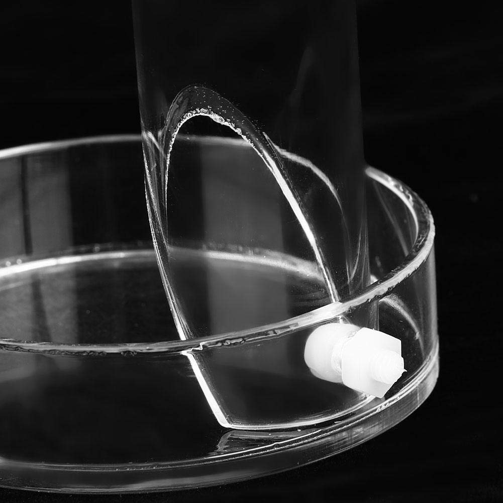 Tube d'alimentation Crevette Tube d'alimentation pour Crevettes en Acrylique Transparent Tube d'alimentation pour Aquarium (20cm)