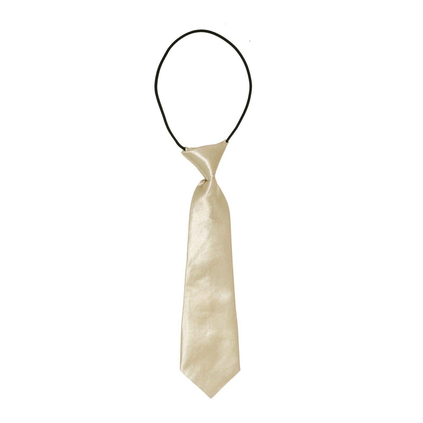 Robelli Kids Elastic Satin Neck Tie – Champagne