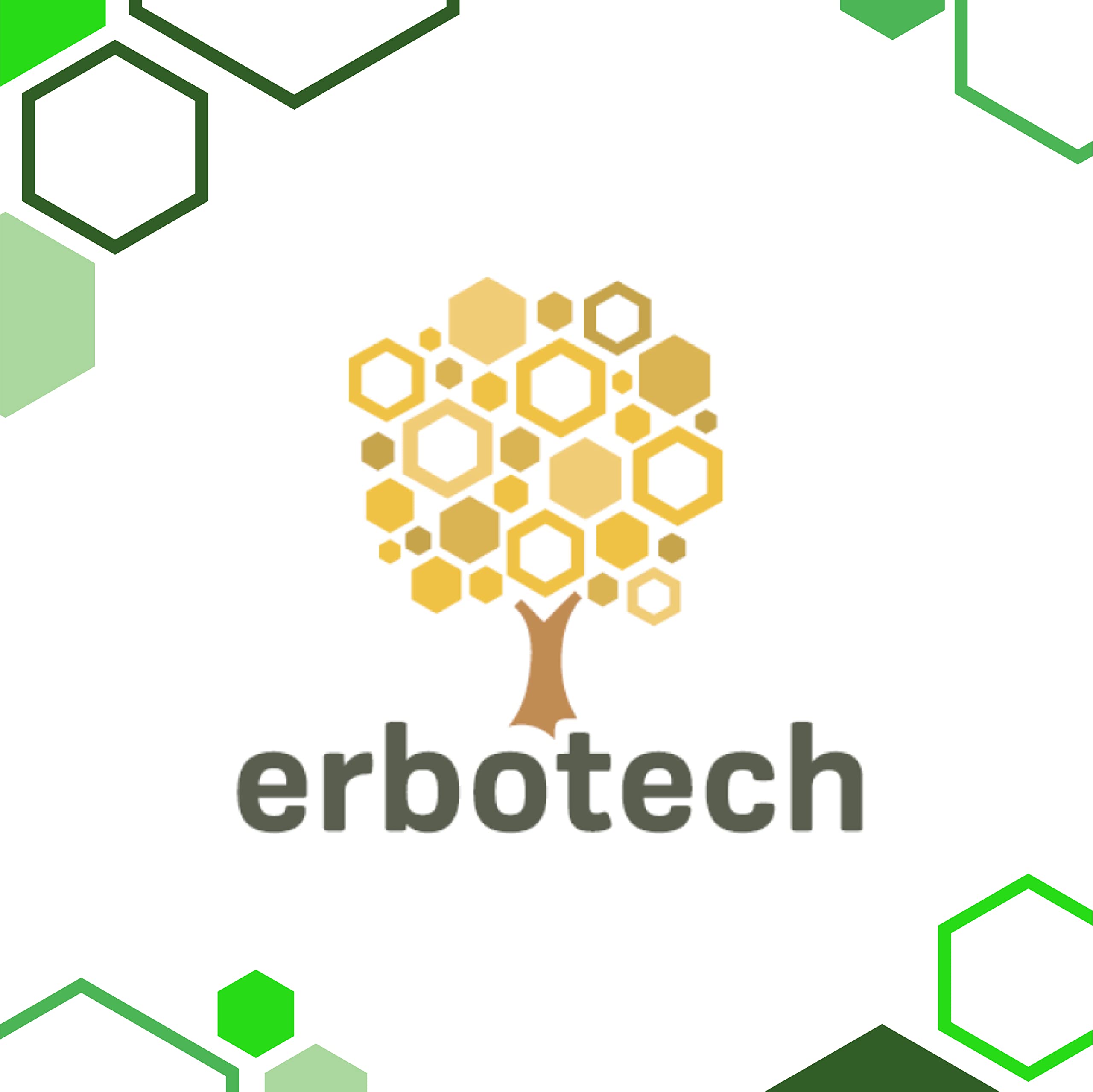 ERBOTECH, Maca Peruviana BIO in Polvere, Busta da 100 g, Ricca Fonte di Minerali, Vitamina B, Vitamina C, Vitamina E, Senza Glutine, Adatto a Vegetariani e Vegani