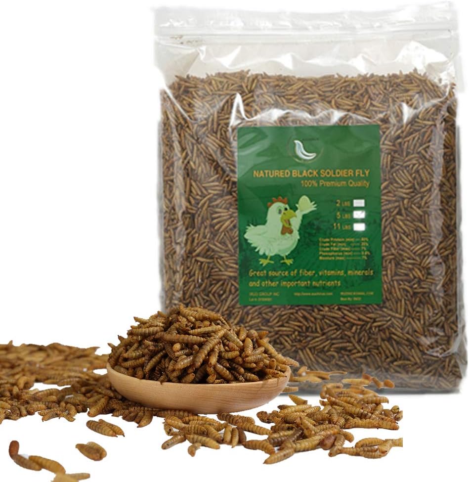 HANDPOINT Black Soldier Fly Larvae Superior to Dried Mealworms for Chickens - Non-GMO - Treats for Birds Chickens Hedgehog Hamster Fish Reptile Turtles (10LB)
