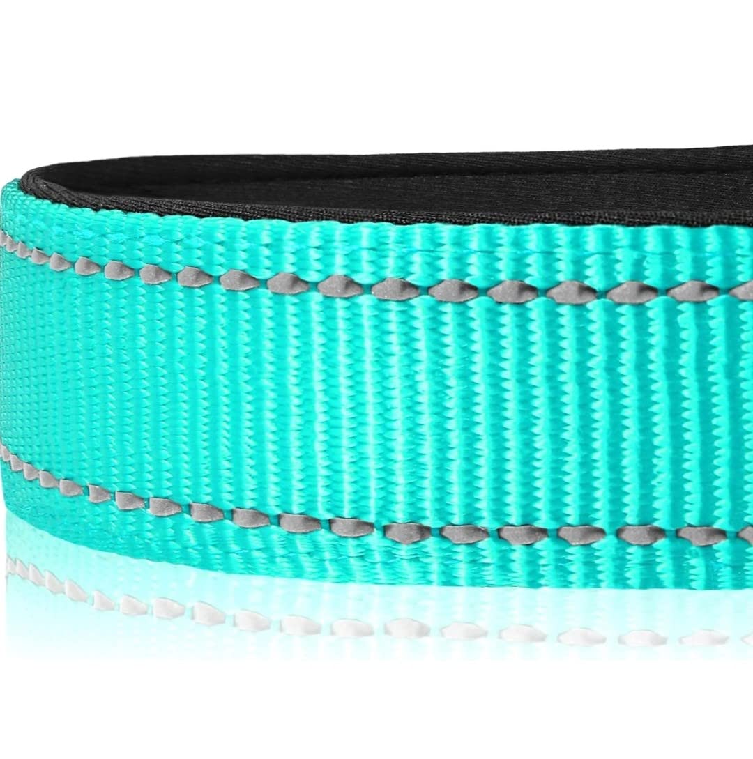 Hond | Beste Halsband Naam & Telefoonnummer | Bestellen Hond | Beste Halsband Naam & Telefoonnummer | Bestellen