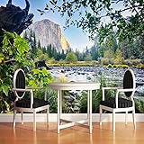 Mountain Stream Mural Wall Art, Trees Sky Wallpaper Picture, Clean Easily Smooth 3D Decortion for Countertop, Office, Nurseries, Playrooms-118X82.6 Inches (WxH)