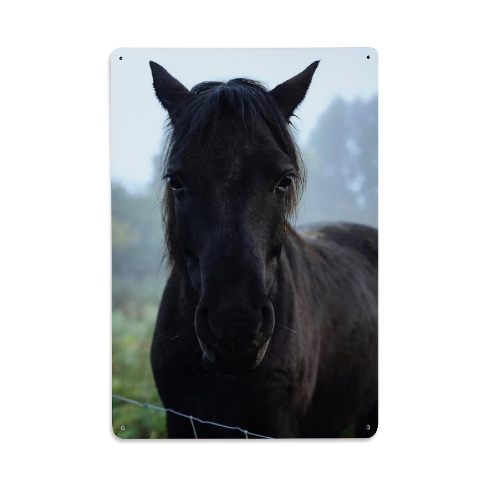 Equestrian Pasture Vintage Mysterious Black Stallion Classic Metal Tin Sign Plaque Wall Decor for Cafe, Man Cave, Club Bar, Office, Home Garden Round Metal Poster 8x12Inch