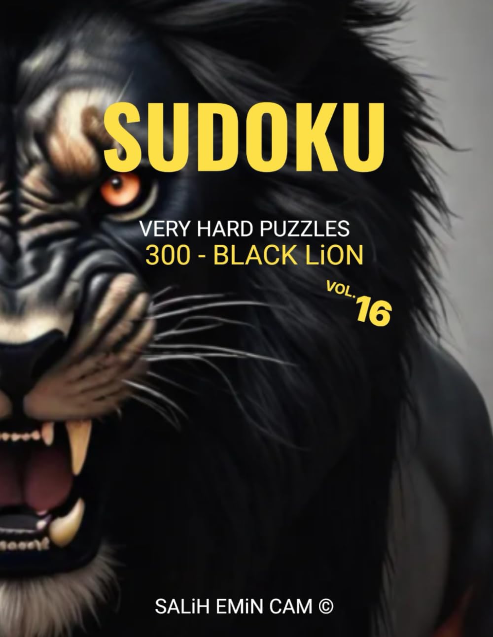 SUDOKU - VERY HARD PUZZLES: VOL 16