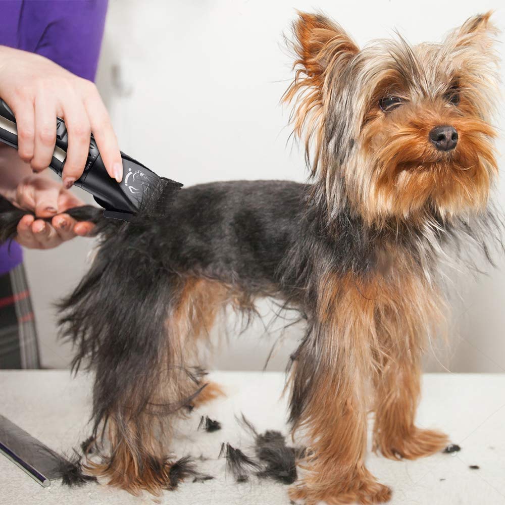 Pet Republique Kabelloser Hunderasierer, mit zusätzlicher Schere und Handkamm – Haarschneidemaschine für alle Felltypen und alle Größen für Hunde, Katzen und Haustiere