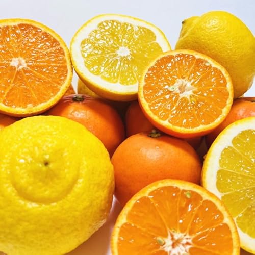 [定期便][家庭用 訳あり]わかやま旬のカンキツ定期便[S] 全4回 3・5・9・11月発送[MS119]