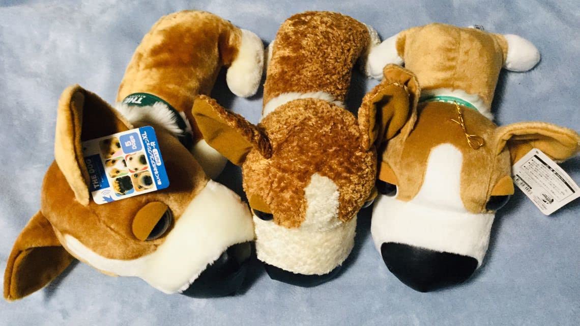 Amazon.co.jp: 【THE DOG】 ウェルシュ コーギー ぬいぐるみ3種セット