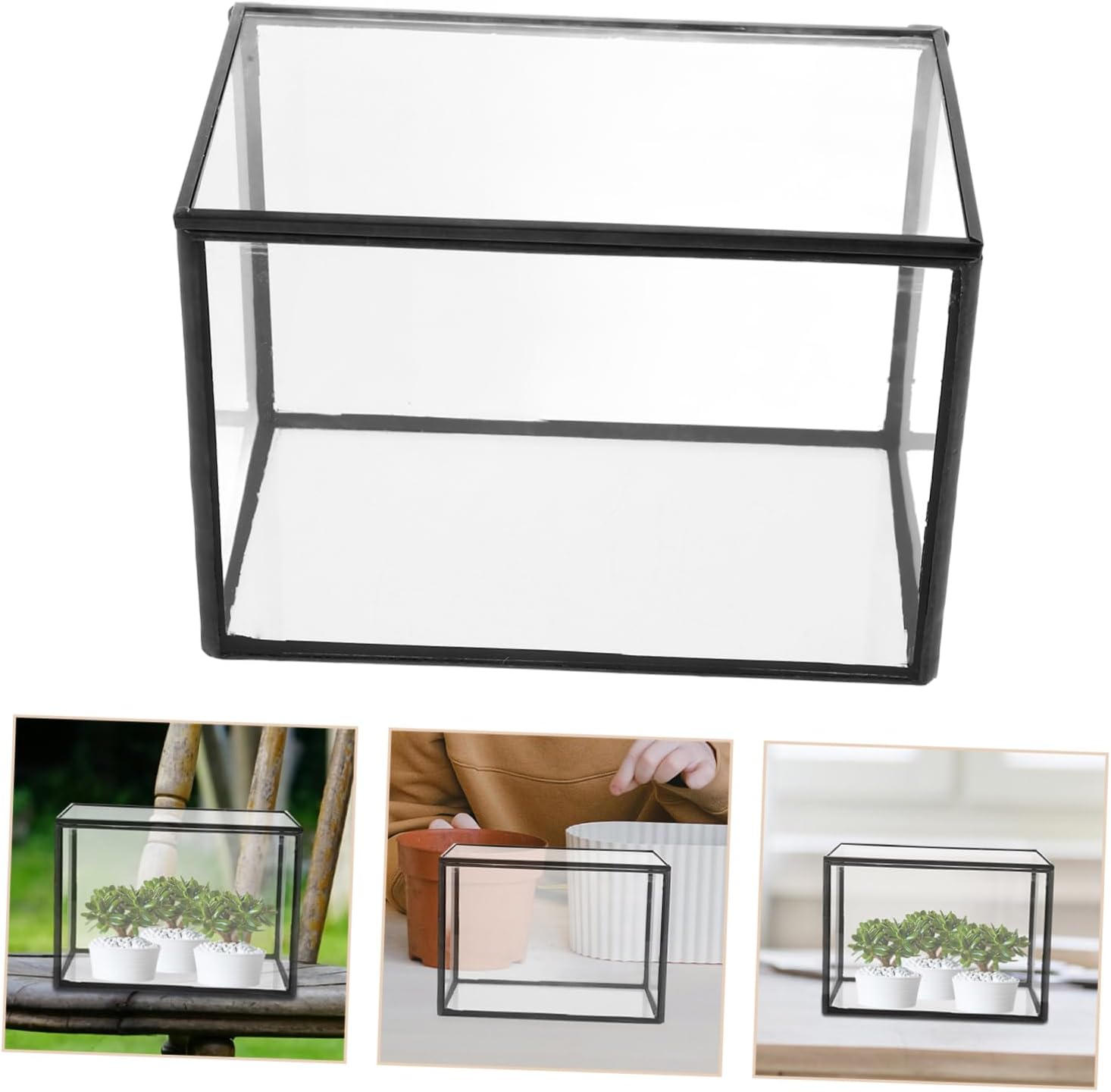 Clear Glass Terrarium for Succulents and DIY Moss Landscapes Elegant Plant Holder for Home Office and Garden Decor Simple Design for Creative Displays and Organization