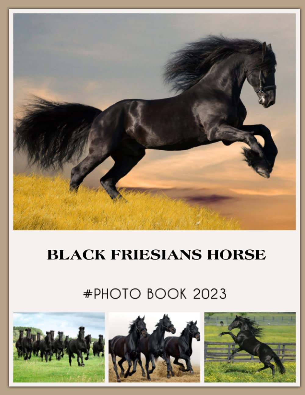 Black Friesians Horse Photobook: Photo Book Of Black Friesians Horse With 30+ Pictures, 2023 Photo Albums, Picture Book Birthday Christmas Gifts For Men Women Dad Mom