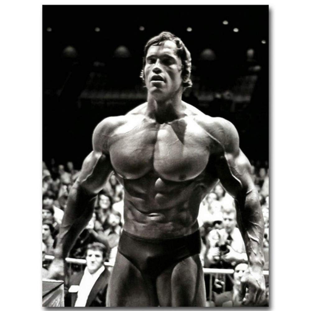 Tainsi Arnold Schwarzenegger Poster, 11 x 17 inch, 28 x 43 cm Tainsi Arnold Schwarzenegger Poster, 11 x 17 inch, 28 x 43 cm