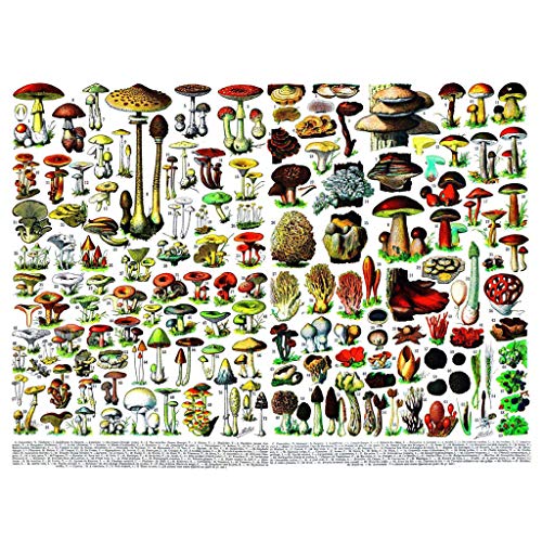 Preisvergleich Produktbild IHGWE-Puzzles, Verschiedene Pilzpuzzles, 1000 Teile Herausfordernde Familienpuzzles, herausfordernde Familienpuzzles, kleine Pilze und große Pilze