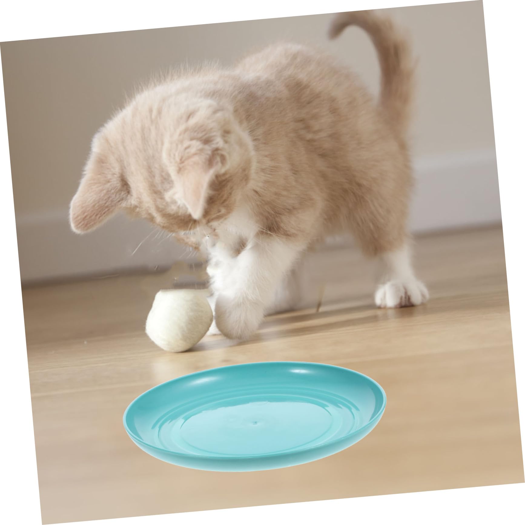 Amazon | Abaodam 8個 セット 猫 フード ボウル ボウル 猫 食器 用 