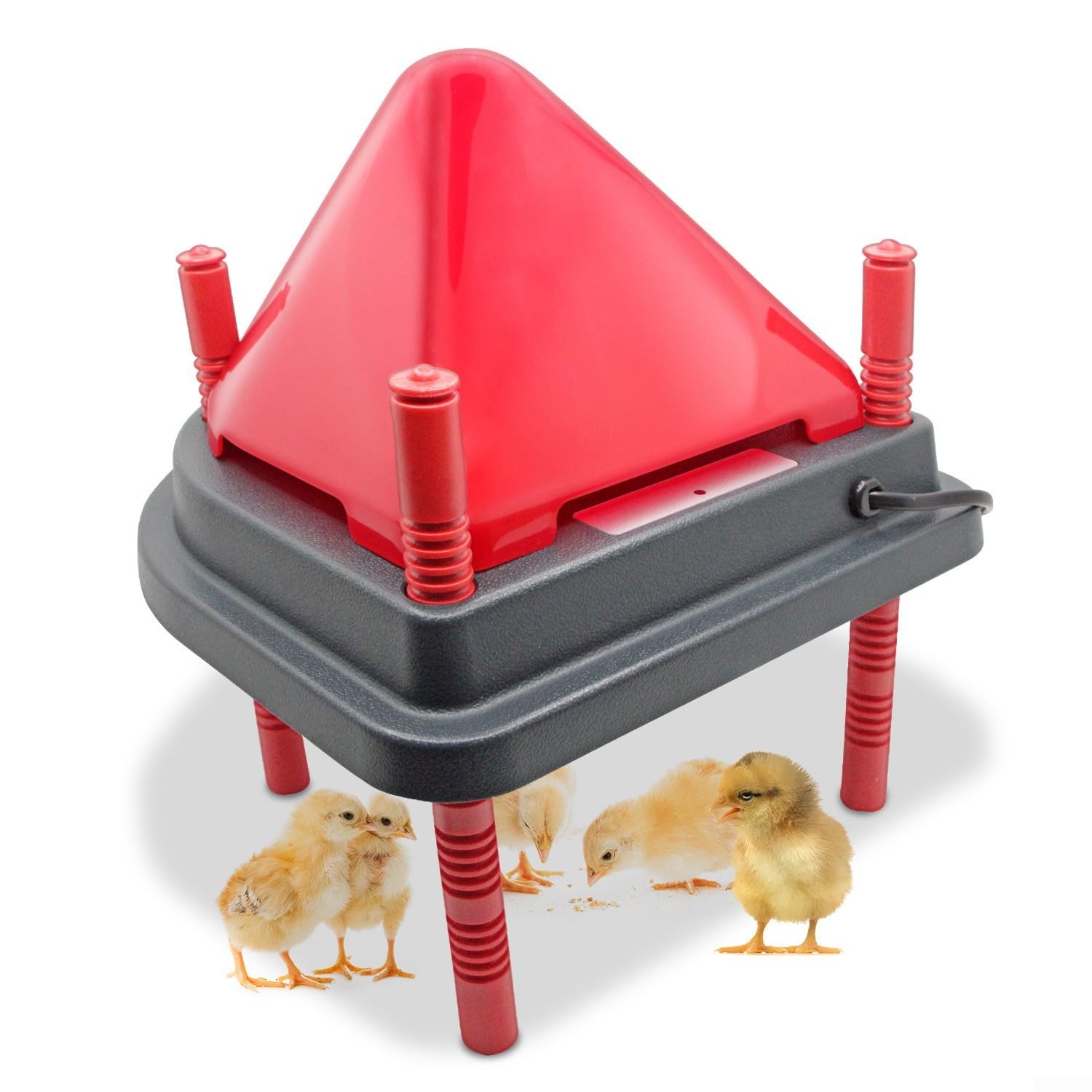 Piastra Riscaldante Pulcini 13W Sicurezza Antincendio(Warmer with lid)