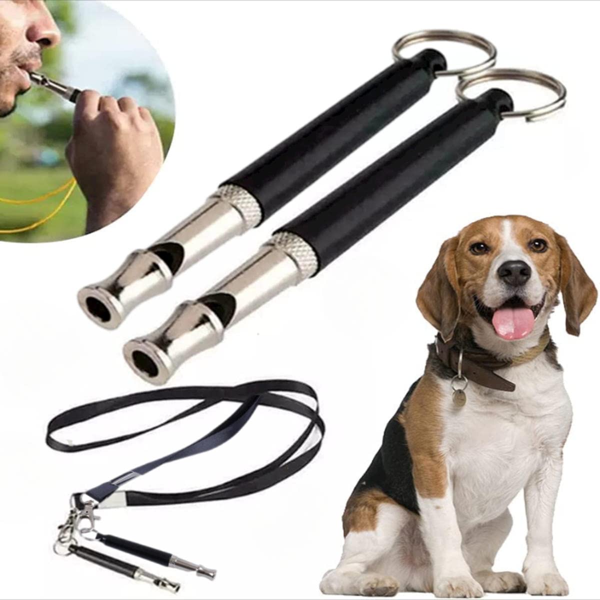 How To Make The Dog Next Door Stop Barking