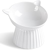 Wellbro Ceramic Raised Cat Bowl - Tilted Anti-Vomit, Whisker-Friendly Feeder for Cats & Puppies, Dishwasher Safe
