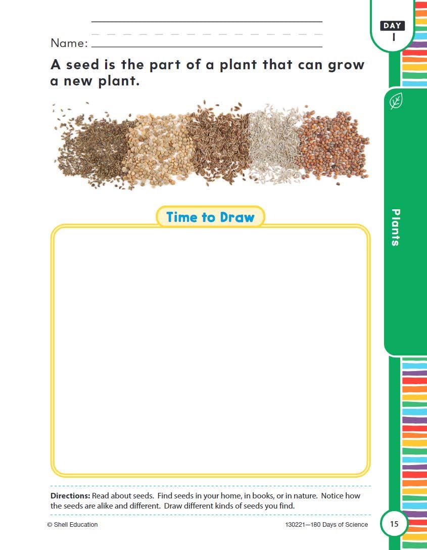 180 Days(tm): Science for Pre-Kindergarten Practice Workbook for Classroom and Home, Cool and Fun Practice Created by Teachers (180 Days of Practice) - Image 5