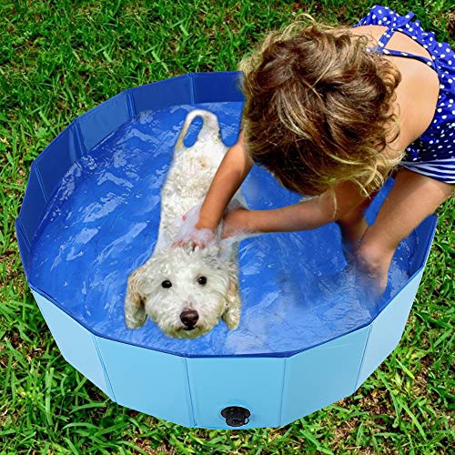 Piscina para cães, piscina dobrável para banho de animais de estimação, fácil de transportar, furo d