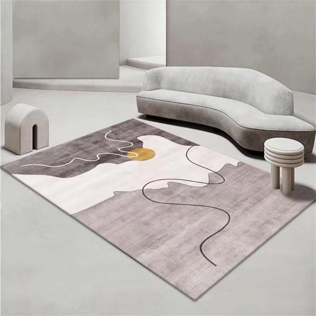 Tapis grande taille gris 120x120cm unicolore lavable pour salon