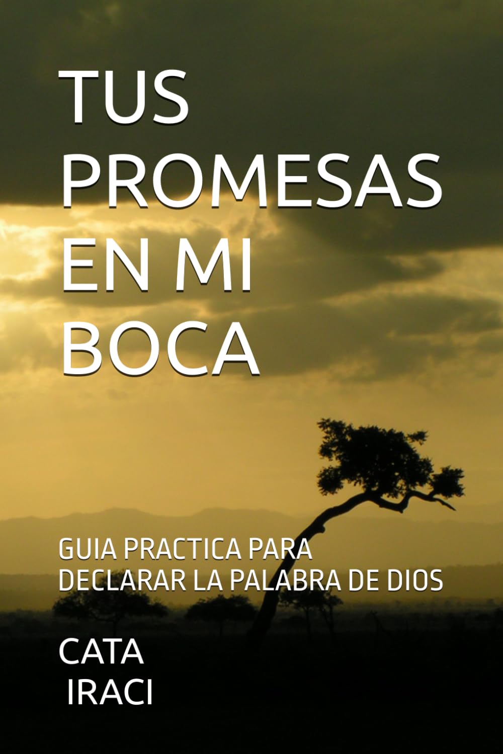 TUS PROMESAS EN MI BOCA: GUIA PRACTICA PARA DECLARAR LA PALABRA DE DIOS